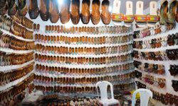 30वां ऑरेंज सिटी क्राफ्ट मेला और लोक नृत्य महोत्सव, नागपुर - 2024