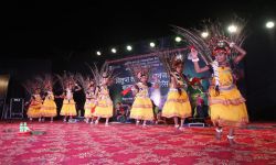 विलुप्त लोक एवं जनजातीय कला उत्थान महोत्सव